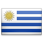 UY vlag